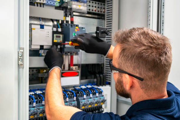 Best Local Electrician Companies  in Trumansburg, NY