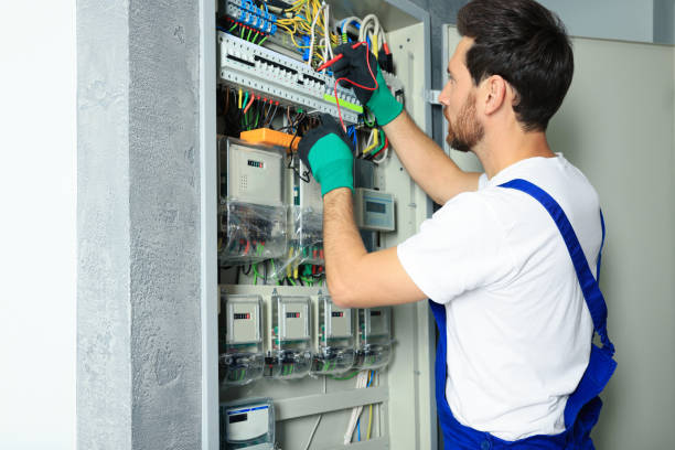 Best Ceiling Fan Installation Electrician  in Trumansburg, NY