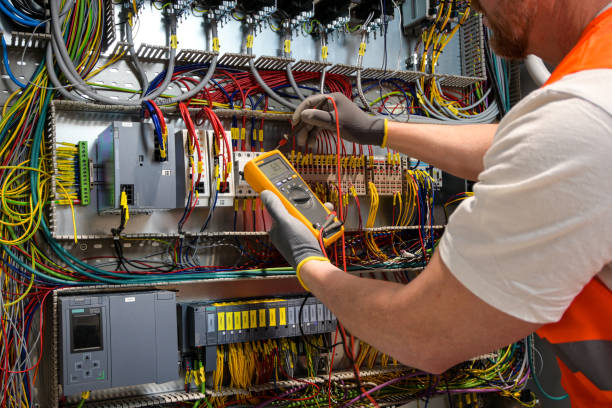 Best Electric Panel Repair  in Trumansburg, NY